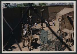 Acción en el Zoológico Nacional – Vista general del foso de los babuinos antes de la lectura