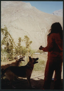 Retratos y paisajes del Valle del Elqui