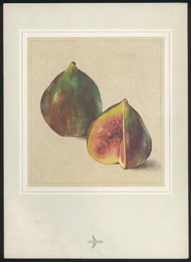 Menú Zurich-Santiago Higos