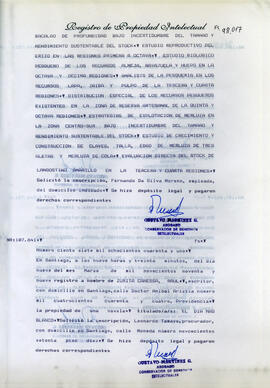 Registro de propiedad intelectual "El día más blanco"